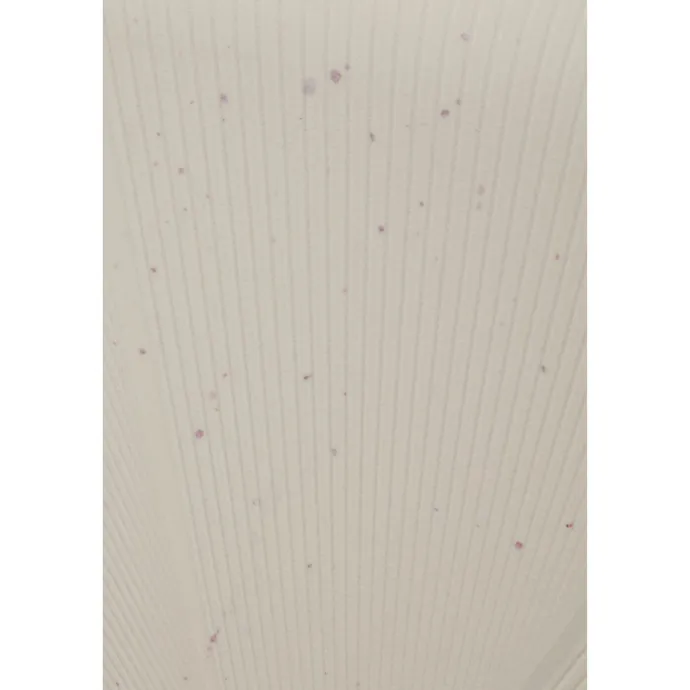 American Tourister Starvibe Spinner 67/24 Expandable TSA Ltd cream speckles
