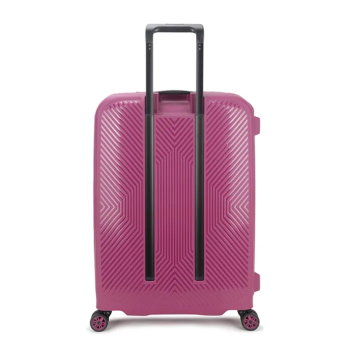 Decent Axiss-Fix 4 Wiel Trolley 68 lavendel