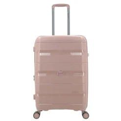 Decent Straight-Line Medium Trolley rose