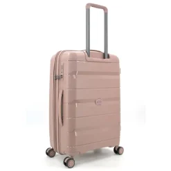 Decent Straight-Line Medium Trolley rose