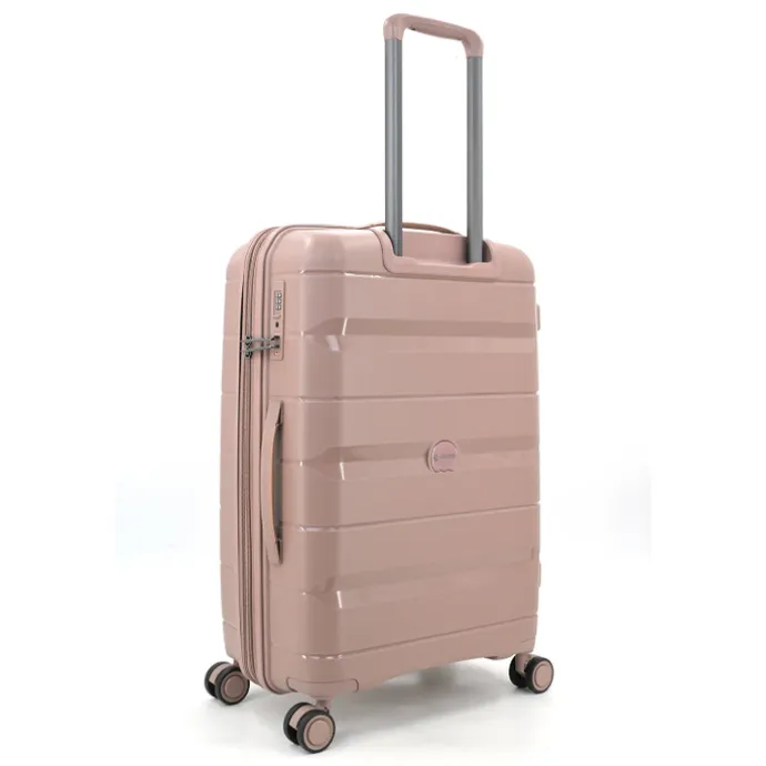 Decent Straight-Line Medium Trolley rose