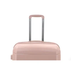 Decent Straight-Line Medium Trolley rose