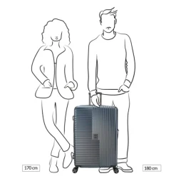 Decent Tourister Large Trolley 76 grey