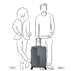 Decent Tourister Medium Trolley 66 taupe