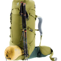 Deuter Aircontact Core 40+10 cactus/ivy