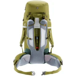 Deuter Aircontact Core 40+10 cactus/ivy