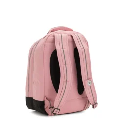 Kipling Class Room bridal rose