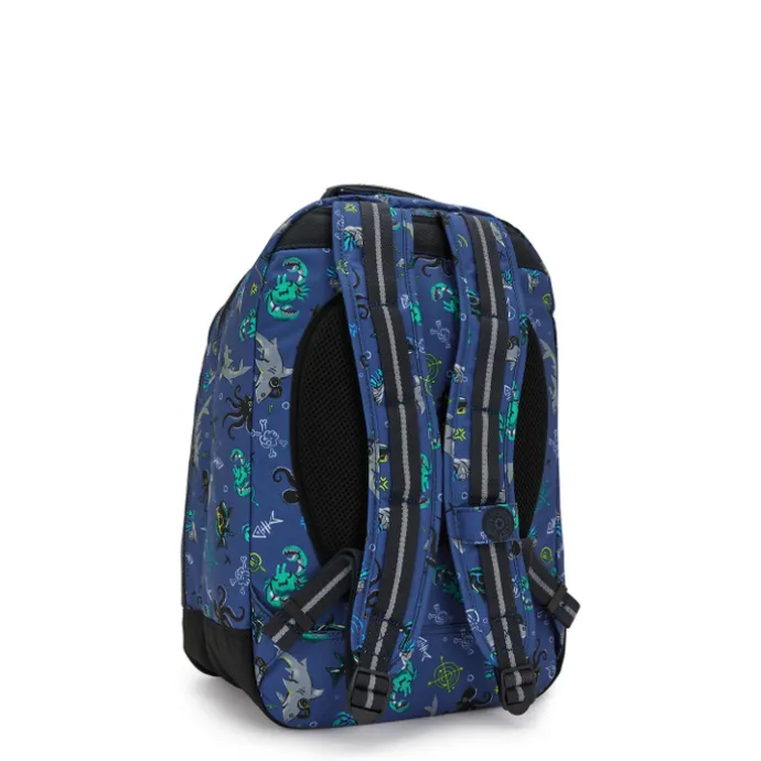 Kipling Class Room undersea party