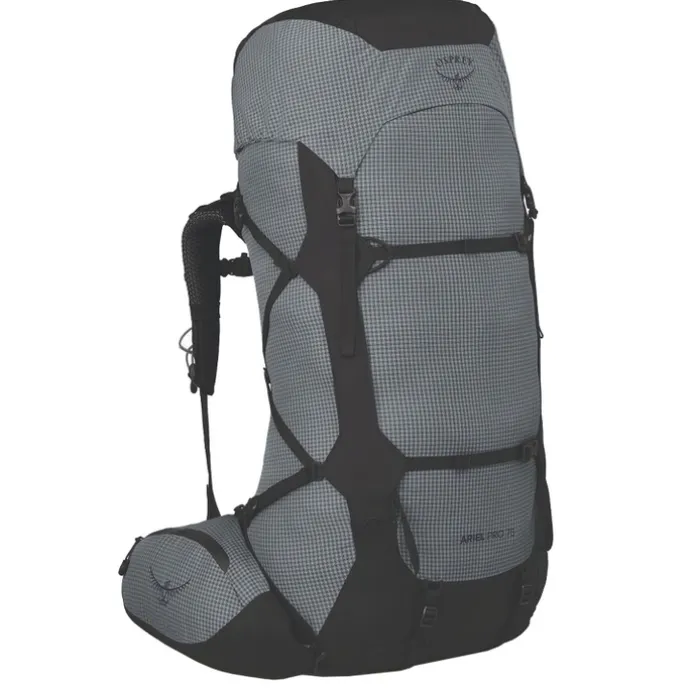 Osprey Ariel Pro 75 WXS/WS silver lining