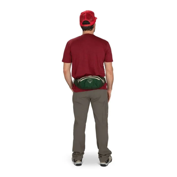 Osprey Daylite Waist green belt/green canopy