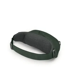 Osprey Daylite Waist green belt/green canopy