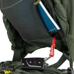 Osprey Kestrel 58 S/M bonsai green
