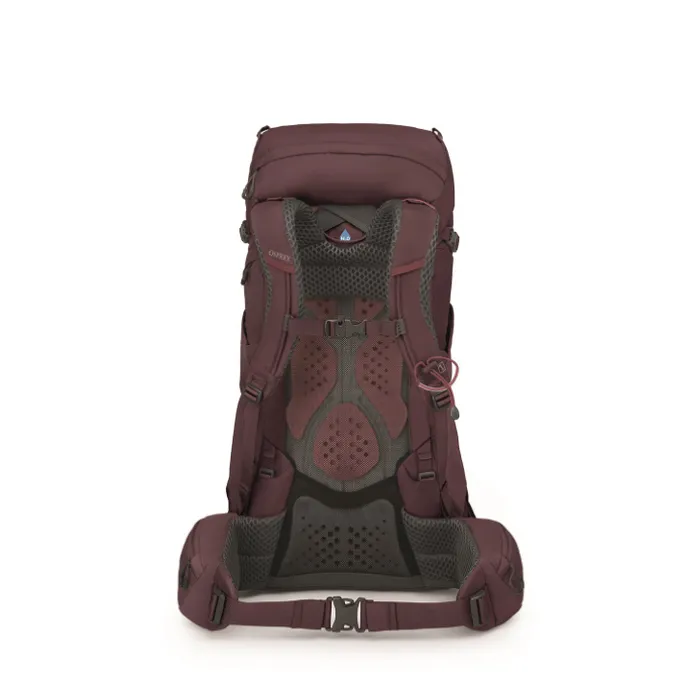 Osprey Kyte 38 WM/L elderberry purple
