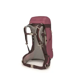 Osprey Sirrus 26 Backpack purple/chiru tan