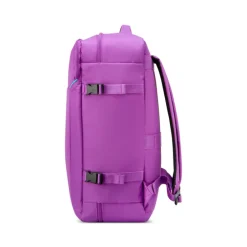 Roncato Ironik 2.0 Travel Backpack orchid