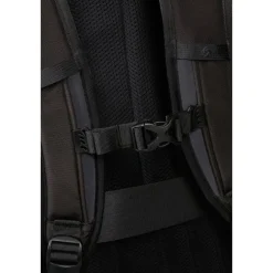 Samsonite BIZ2GO Laptop Backpack 17.3'' Overnight black