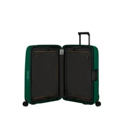 Samsonite Essens Spinner 69 alpine green