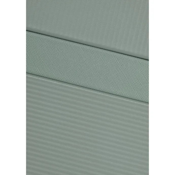 Samsonite Image Spinner 75/28 Expandable thyme