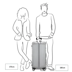 Samsonite Lite-Box Alu Trunk 80 aluminium