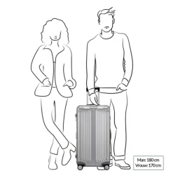 Samsonite Lite-Box Alu Trunk 74 aluminium