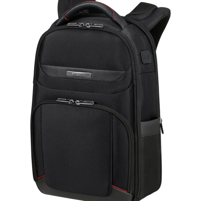 Samsonite Pro-DLX 6 Backpack 14.1'' framed