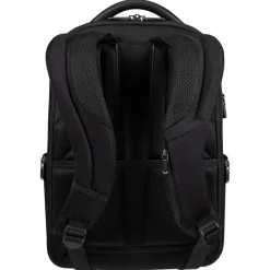 Samsonite Pro-DLX 6 Backpack 14.1'' framed