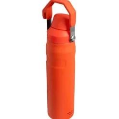 Stanley The Aerolight IceFlow Water Bottle Fast Flow 0.6L tigerlily plum
