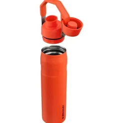 Stanley The Aerolight IceFlow Water Bottle Fast Flow 0.6L tigerlily plum